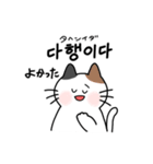 3匹のねこと韓国語2（個別スタンプ：34）