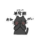 3匹のねこと韓国語2（個別スタンプ：35）