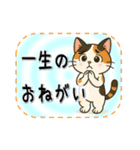 おねがい猫8種類（個別スタンプ：2）