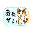 おねがい猫8種類（個別スタンプ：3）