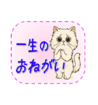 おねがい猫8種類（個別スタンプ：7）