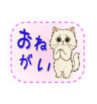 おねがい猫8種類（個別スタンプ：8）