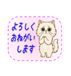 おねがい猫8種類（個別スタンプ：9）