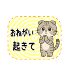 おねがい猫8種類（個別スタンプ：11）