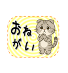 おねがい猫8種類（個別スタンプ：13）