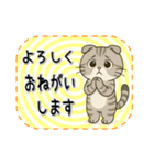 おねがい猫8種類（個別スタンプ：14）