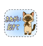おねがい猫8種類（個別スタンプ：16）