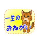 おねがい猫8種類（個別スタンプ：22）