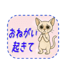 おねがい猫8種類（個別スタンプ：26）
