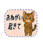おねがい猫8種類（個別スタンプ：31）