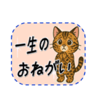 おねがい猫8種類（個別スタンプ：32）