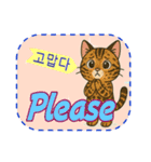 おねがい猫8種類（個別スタンプ：35）