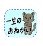 おねがい猫8種類（個別スタンプ：37）