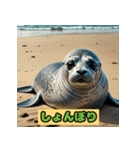 ぷにぷにアザラシの日常だよ（個別スタンプ：3）