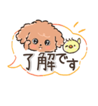 愛犬☆トイプードルdeごあいさつ☆敬語入り（個別スタンプ：2）