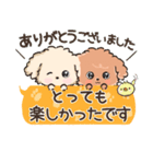 愛犬☆トイプードルdeごあいさつ☆敬語入り（個別スタンプ：9）