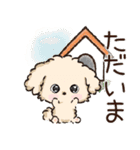 愛犬☆トイプードルdeごあいさつ☆敬語入り（個別スタンプ：14）