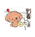 愛犬☆トイプードルdeごあいさつ☆敬語入り（個別スタンプ：16）