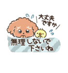 愛犬☆トイプードルdeごあいさつ☆敬語入り（個別スタンプ：18）