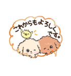 愛犬☆トイプードルdeごあいさつ☆敬語入り（個別スタンプ：19）
