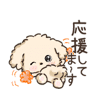愛犬☆トイプードルdeごあいさつ☆敬語入り（個別スタンプ：21）