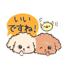 愛犬☆トイプードルdeごあいさつ☆敬語入り（個別スタンプ：22）