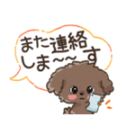 愛犬☆トイプードルdeごあいさつ☆敬語入り（個別スタンプ：27）