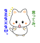 nbobi たまちん（個別スタンプ：1）