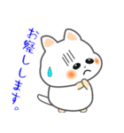 nbobi たまちん（個別スタンプ：13）