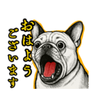ふれんちぶるの叫び【敬語・日常挨拶】（個別スタンプ：5）