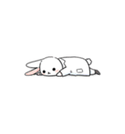 放射線技師のうさぎのスタンプ（個別スタンプ：14）