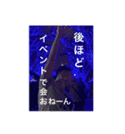 GOGOTAISHI_スタンプ_2025（個別スタンプ：3）