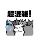 防災・災害緊急時連絡用★献血する猫6（個別スタンプ：7）