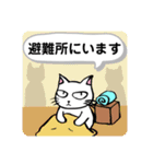 防災・災害緊急時連絡用★献血する猫6（個別スタンプ：13）