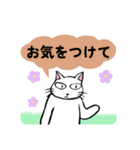 防災・災害緊急時連絡用★献血する猫6（個別スタンプ：16）