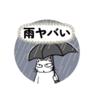 防災・災害緊急時連絡用★献血する猫6（個別スタンプ：17）