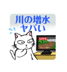 防災・災害緊急時連絡用★献血する猫6（個別スタンプ：18）