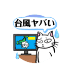 防災・災害緊急時連絡用★献血する猫6（個別スタンプ：19）