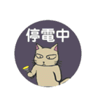 防災・災害緊急時連絡用★献血する猫6（個別スタンプ：20）