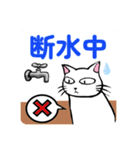 防災・災害緊急時連絡用★献血する猫6（個別スタンプ：21）