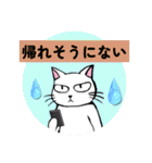 防災・災害緊急時連絡用★献血する猫6（個別スタンプ：28）