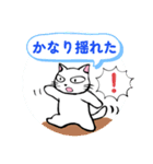 防災・災害緊急時連絡用★献血する猫6（個別スタンプ：31）