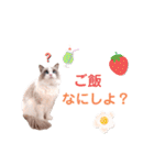 いつものほたてくん3（個別スタンプ：14）