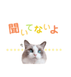 いつものほたてくん3（個別スタンプ：28）