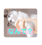 いつものほたてくん3（個別スタンプ：29）