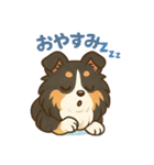 色々なシェルティのスタンプ（個別スタンプ：6）