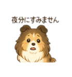 色々なシェルティのスタンプ（個別スタンプ：12）