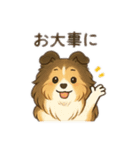 色々なシェルティのスタンプ（個別スタンプ：17）