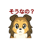 色々なシェルティのスタンプ（個別スタンプ：29）