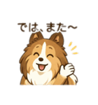 色々なシェルティのスタンプ（個別スタンプ：38）